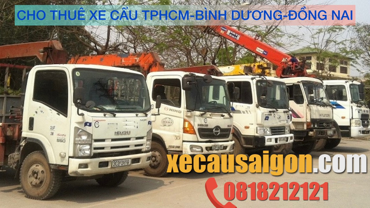 Hệ thống xe cẩu đa trọng tải tại Biên Hòa