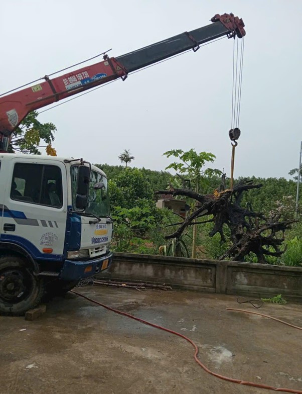 Dịch vụ xe cẩu thuê tại huyện Củ Chi giá rẻ