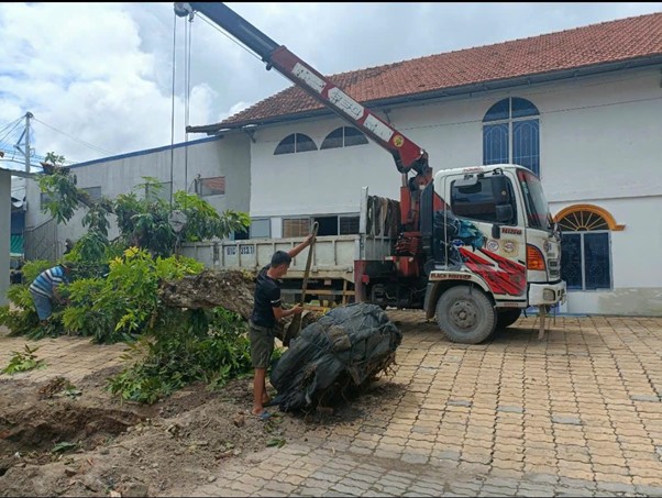 Xe Cẩu Thuê Tại Ngã Tư Tân Quy Huyện Củ Chi 3